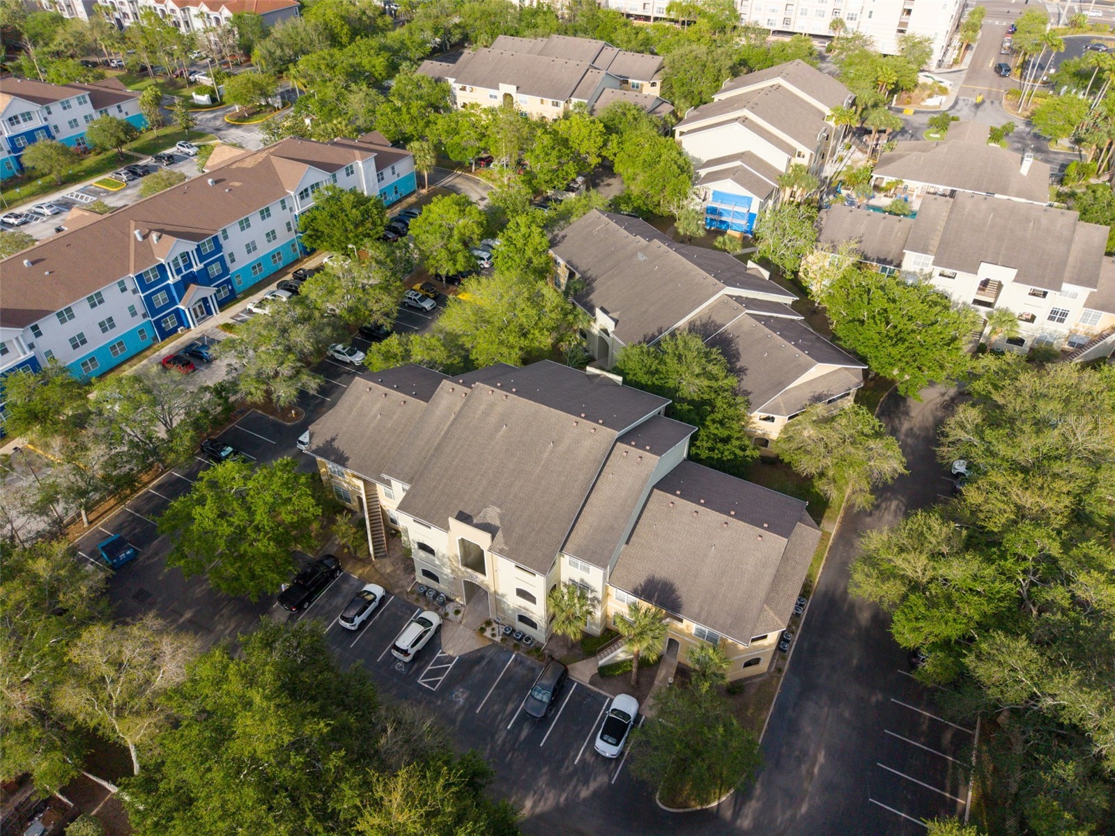 1230 S Missouri Avenue #715 Clearwater FL 33756 TB8497314 image30