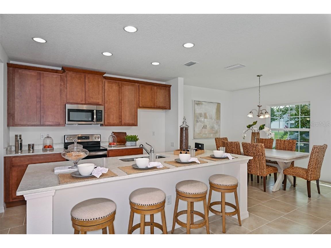 1230 Sand Torch Circle Davenport FL 33837 O6299000 image3