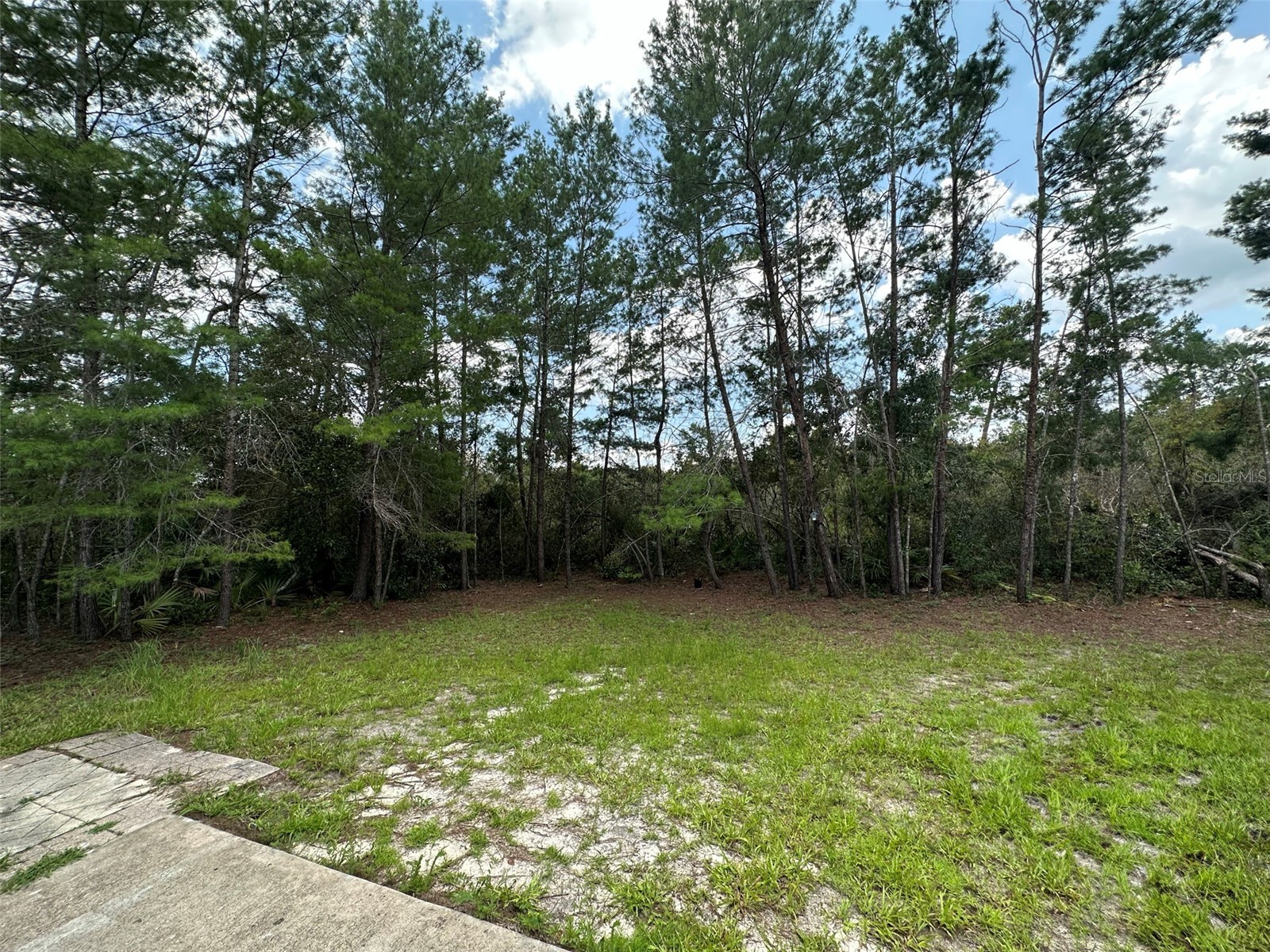 1230 Silverdale Street Deltona FL 32725 O6414144 image17