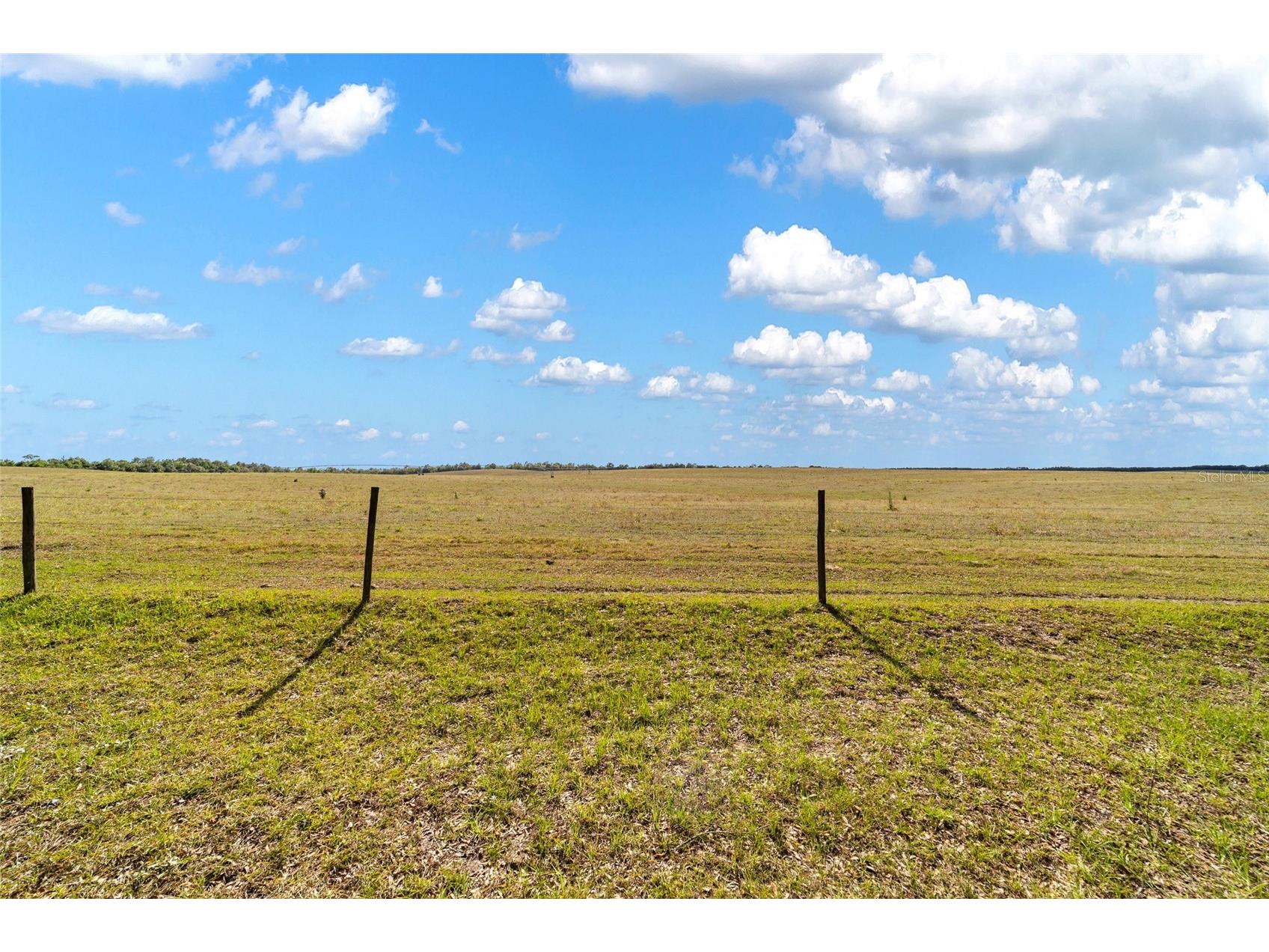 1230 SW Valencia Heights Avenue Dunnellon FL 34431 OM723493 image3