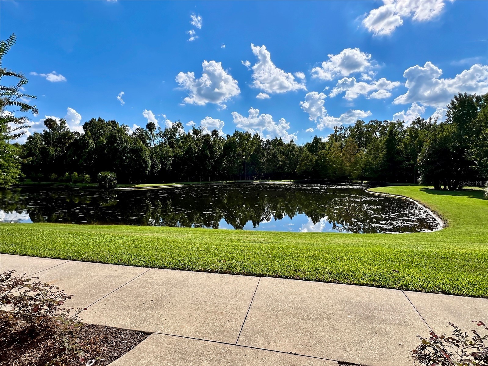 1230 Wright Circle #308 Celebration FL 34747 O6378094 image29