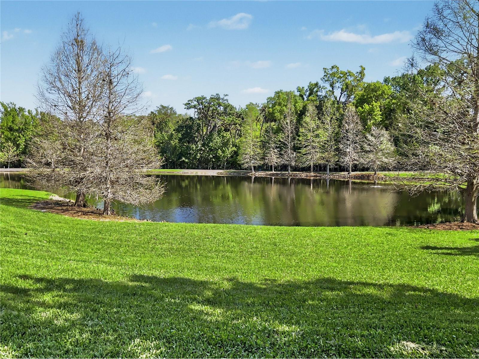 1230 Wright Circle #308 Celebration FL 34747 O6378094 image32