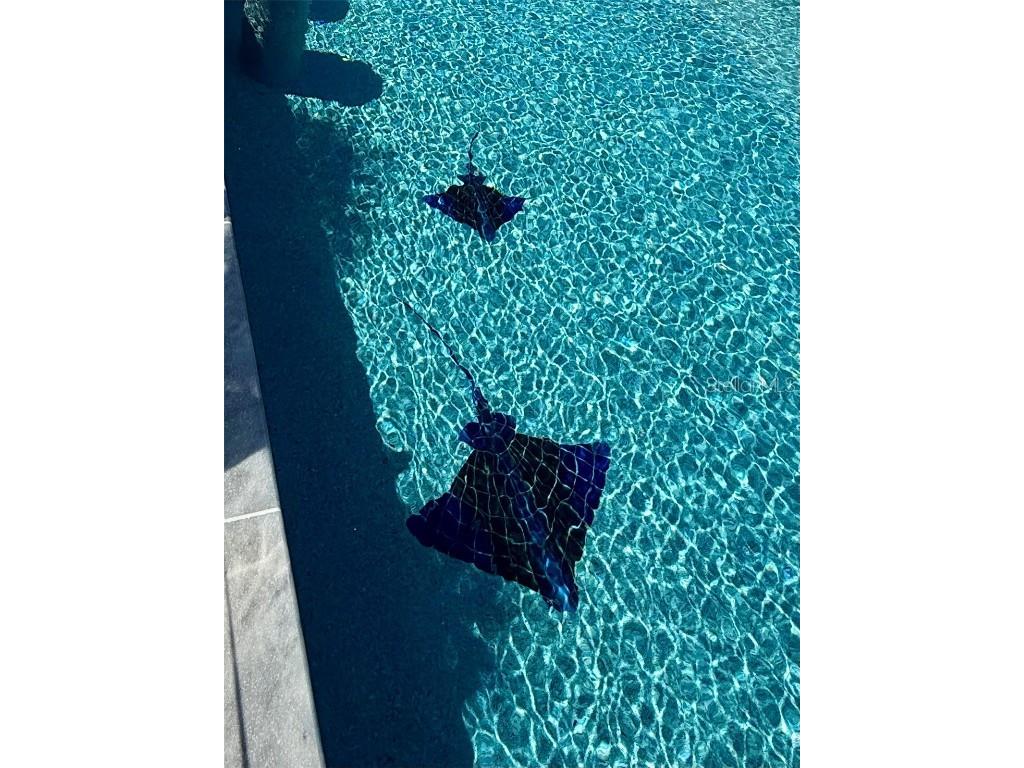 12300 4th Street E Treasure Island FL 33706 TB8390151 image66