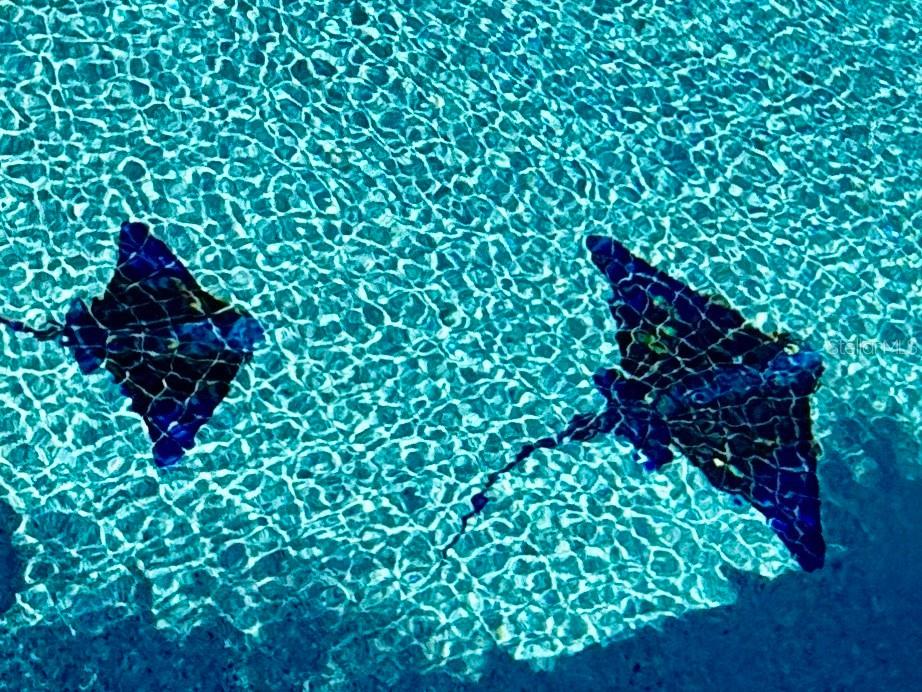 12300 4th Street E Treasure Island FL 33706 TB8390151 image67