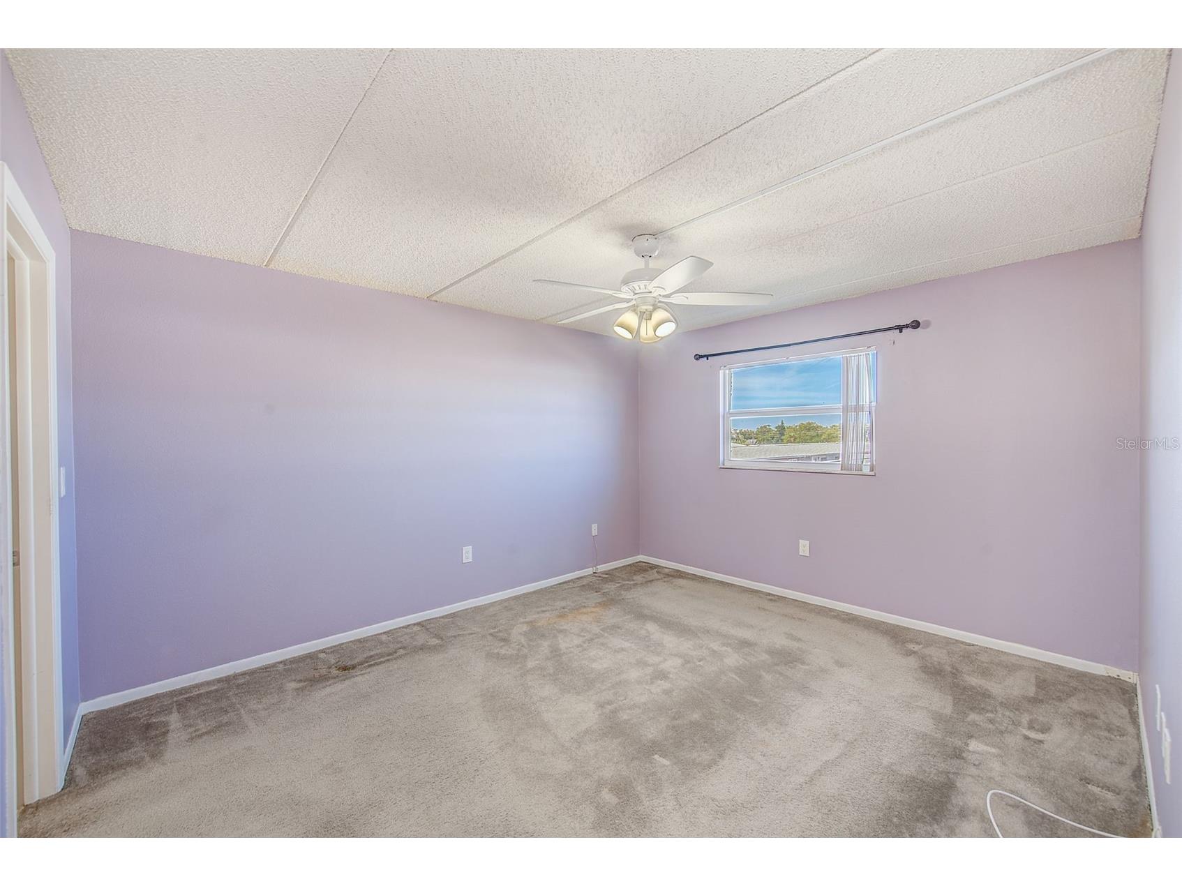 12300 Park Boulevard #116 Seminole FL 33772 TB8500851 image16