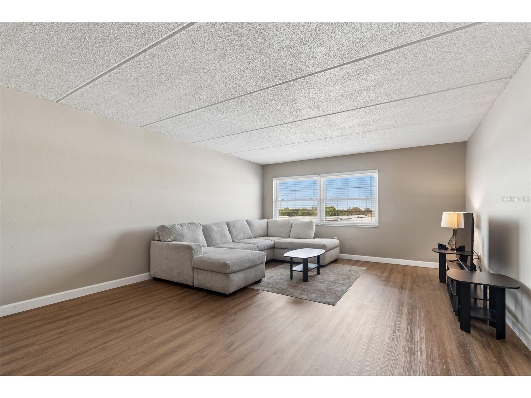 12300 Park Boulevard #221 Seminole FL 33772 TB8490823 image23