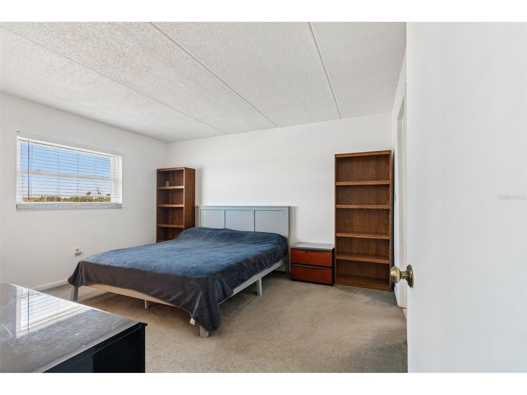 12300 Park Boulevard #221 Seminole FL 33772 TB8490823 image25