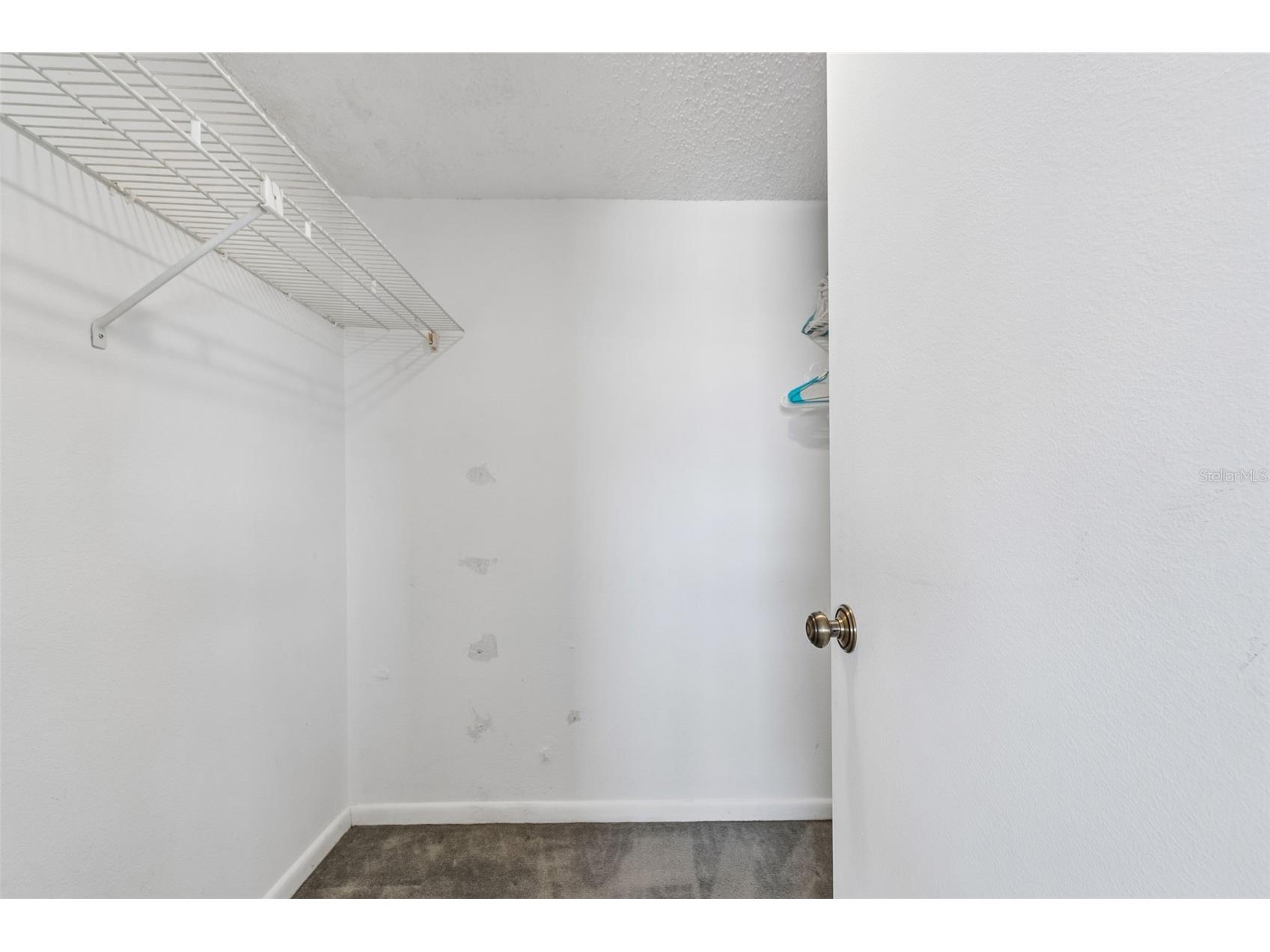 12300 Park Boulevard #221 Seminole FL 33772 TB8490823 image30