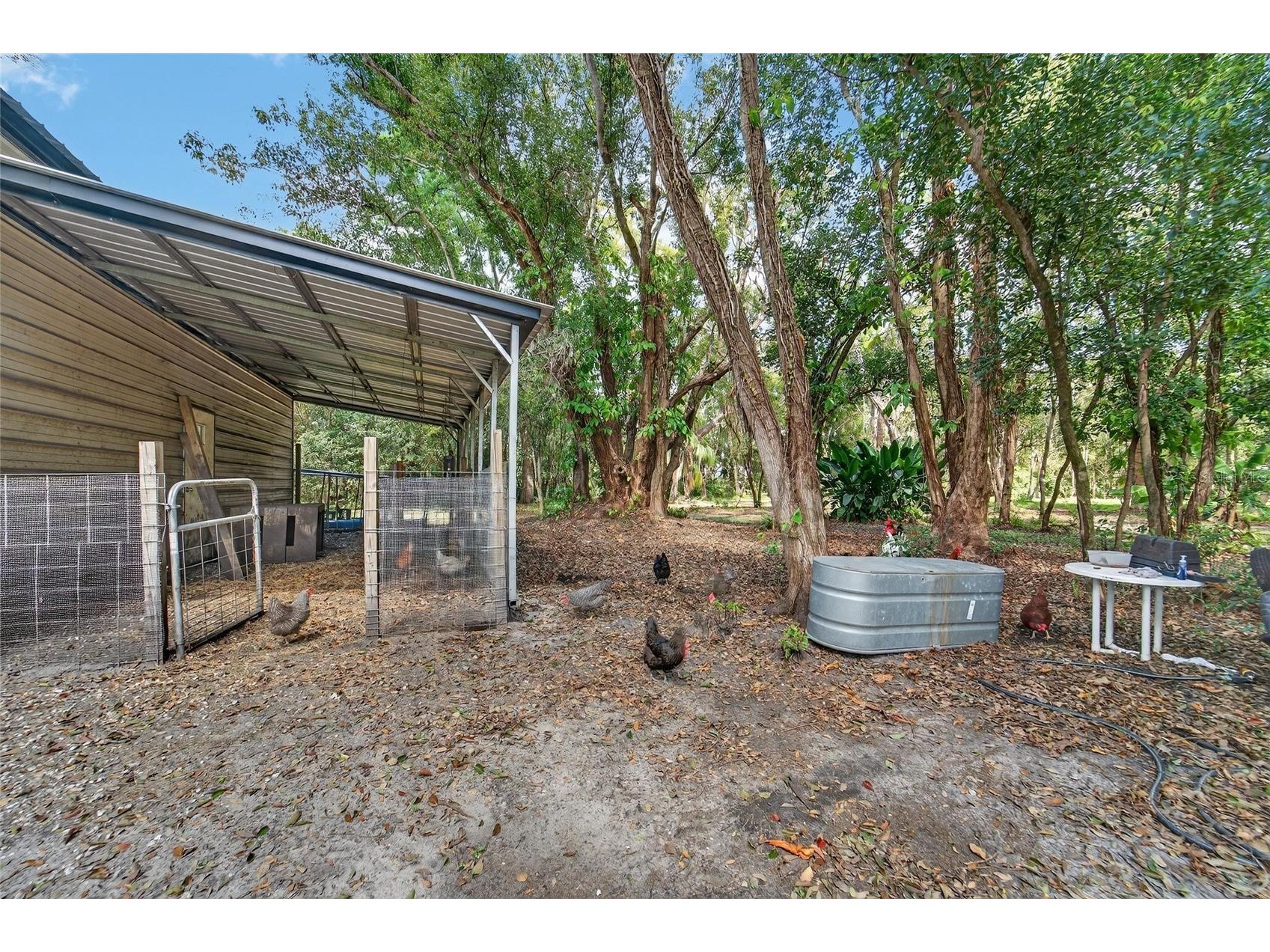 12300 Parrish Cemetary Road Parrish FL 34219 TB8485706 image33