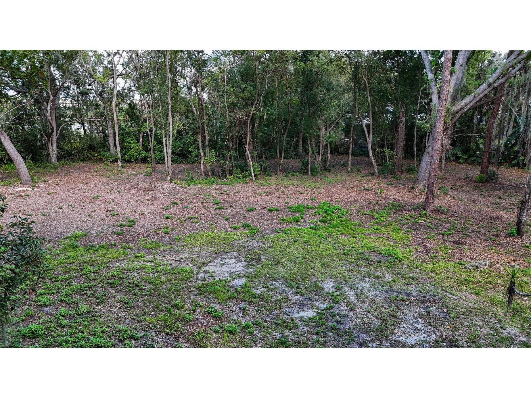 12300 Parrish Cemetary Road Parrish FL 34219 TB8485706 image70