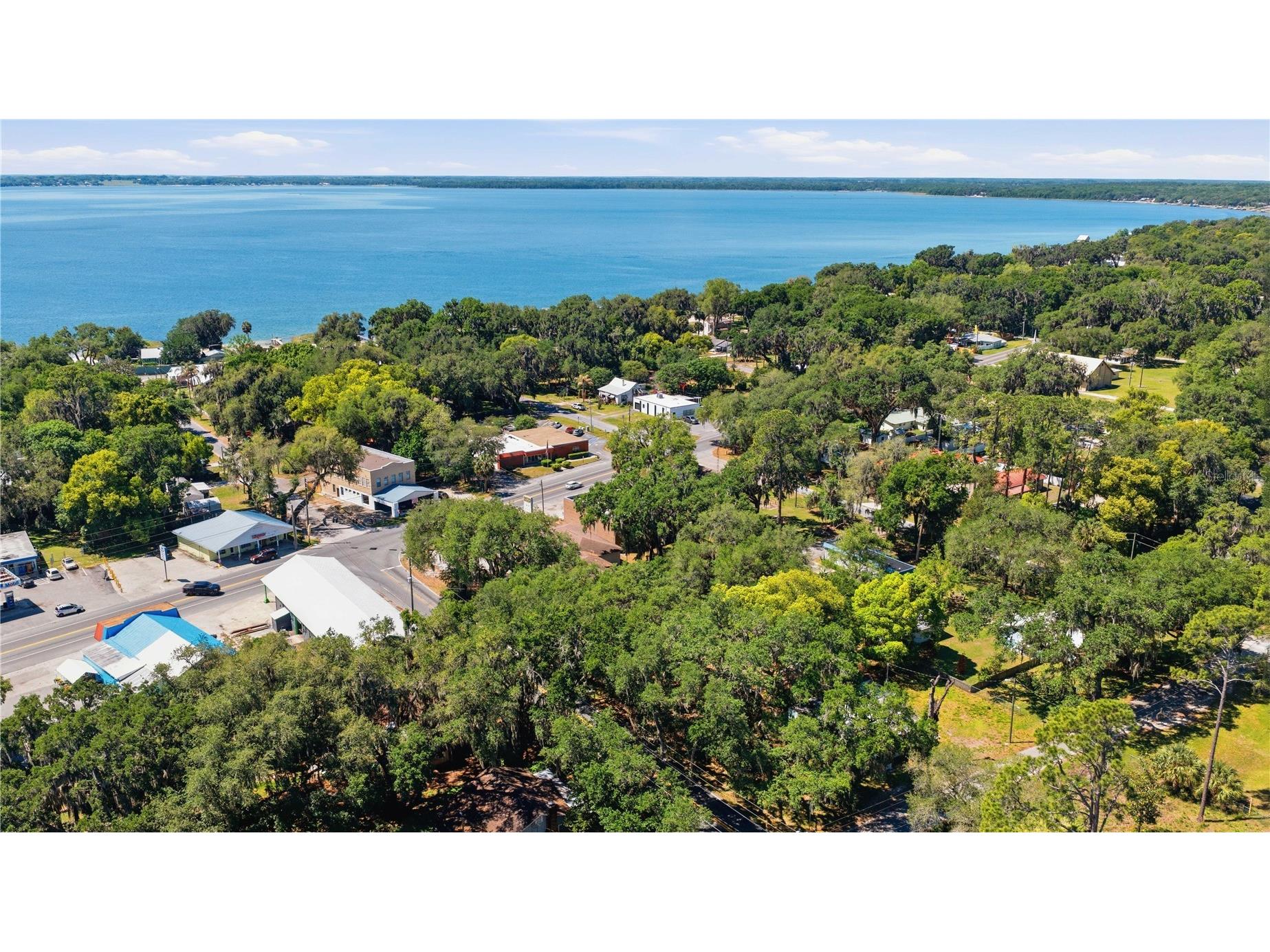 12300 SE 135th Avenue Ocklawaha FL 32179 OM723353 image6