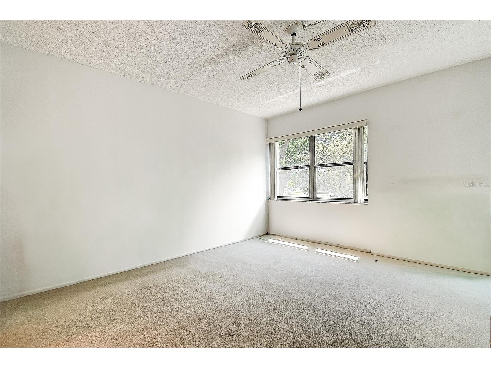 12300 Vonn Road #7203 Largo FL 33774 TB8491408 image11