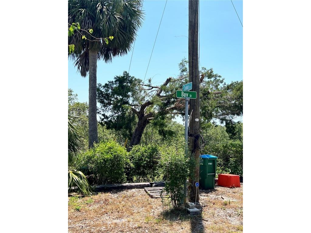 12301 Cedar Street Cedar Key FL 32625 W7875633 image36