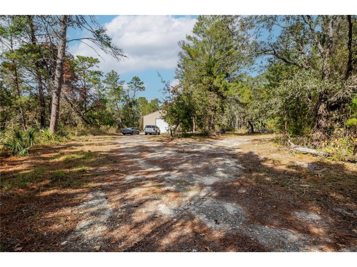 12301 Denton Avenue Hudson FL 34667 TB8449229 image13