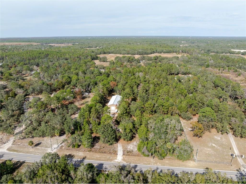 12301 Denton Avenue Hudson FL 34667 TB8449229 image14