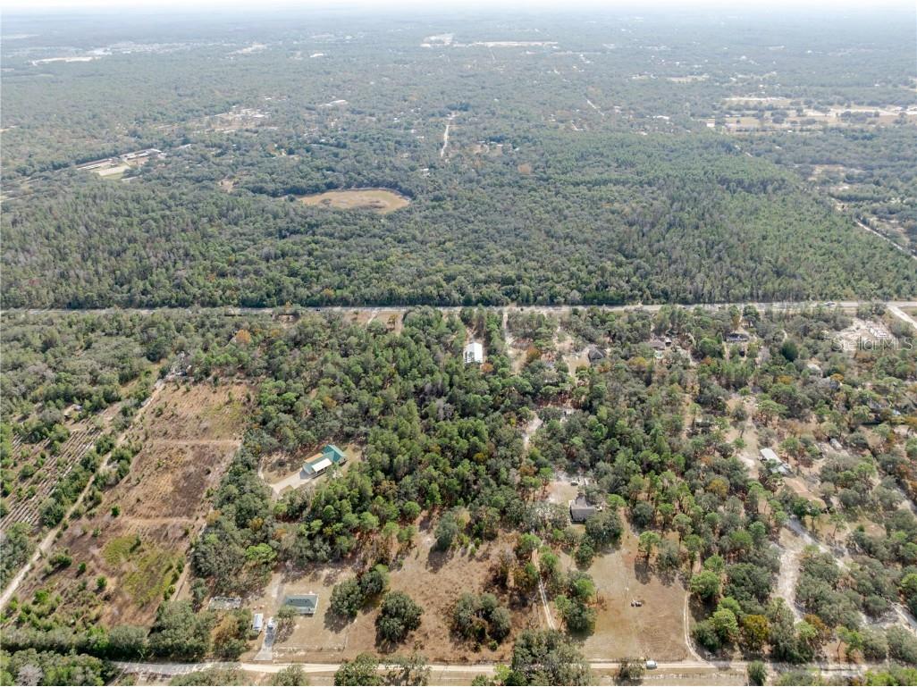 12301 Denton Avenue Hudson FL 34667 TB8449229 image16