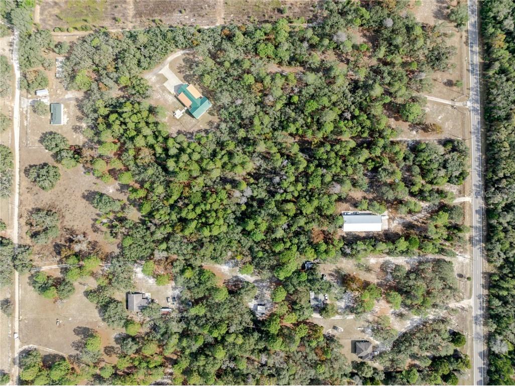 12301 Denton Avenue Hudson FL 34667 TB8449229 image18