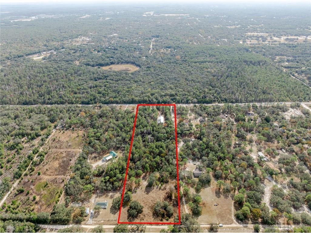 12301 Denton Avenue Hudson FL 34667 TB8449229 image23