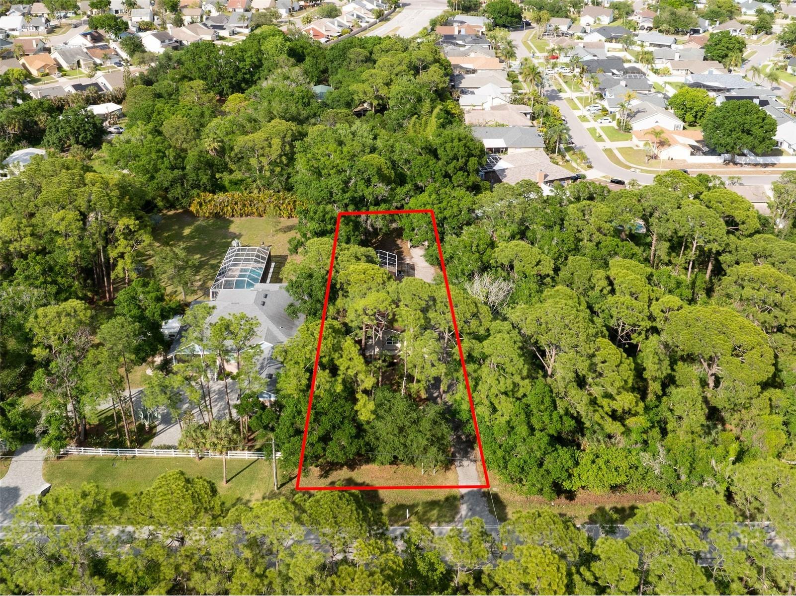 12301 Memorial Highway Tampa FL 33635 TB8499188 image32