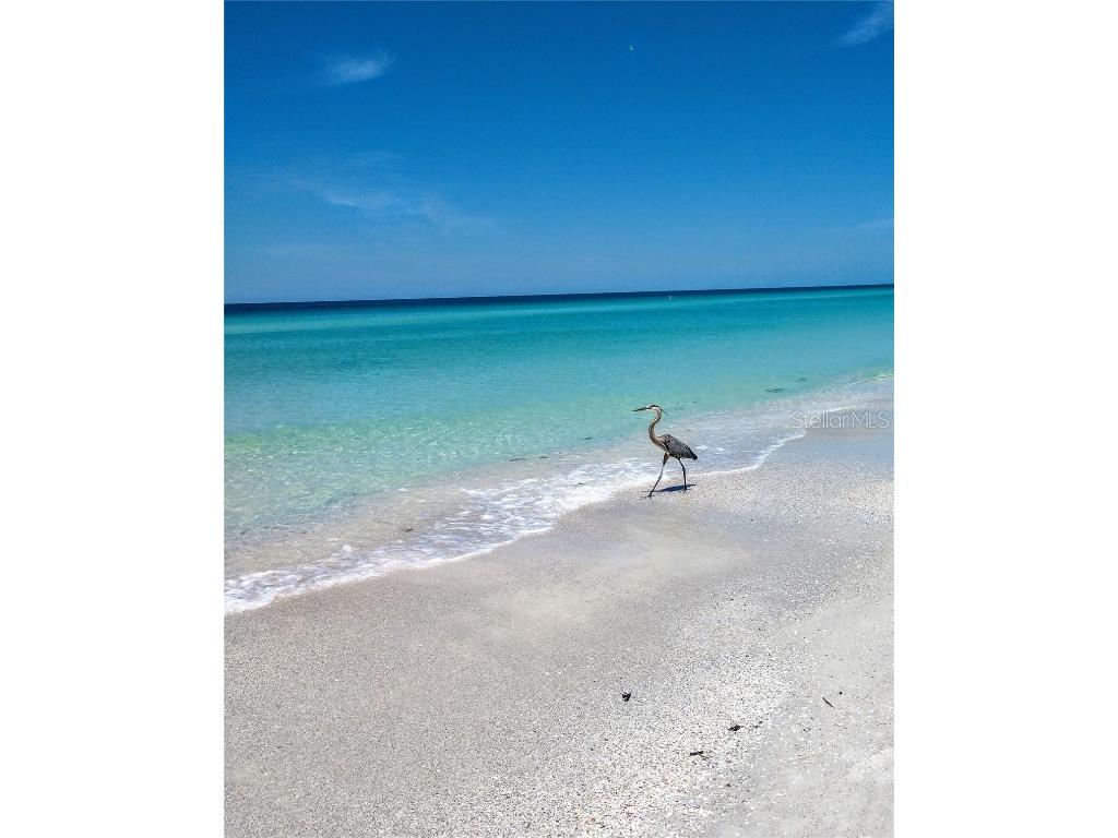 12301 Mosswood Place Lakewood Ranch FL 34202 A4672660 image20