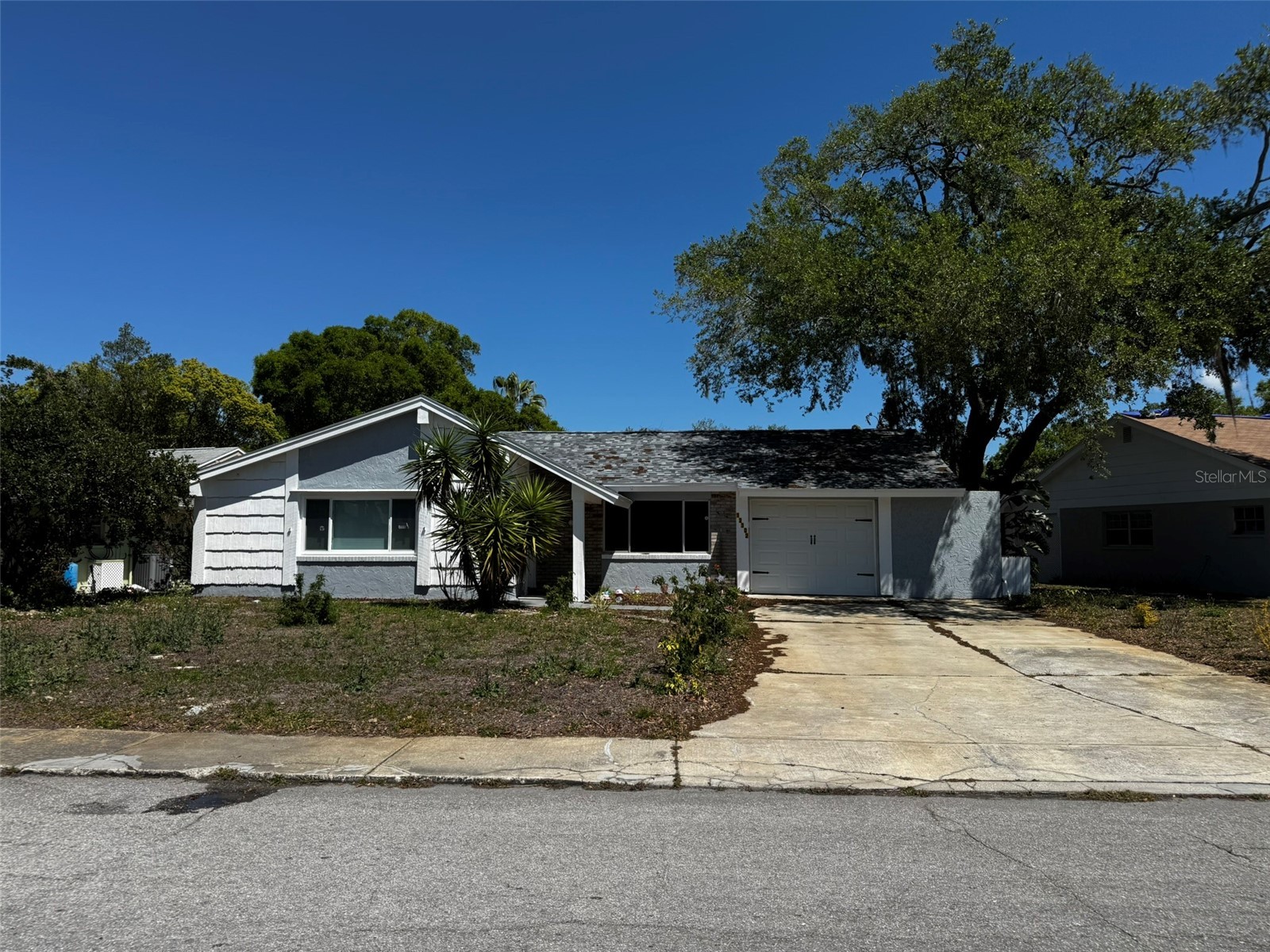 12302 Cobble Stone Drive Hudson FL 34667 - Bear Creek TB8495397 image1