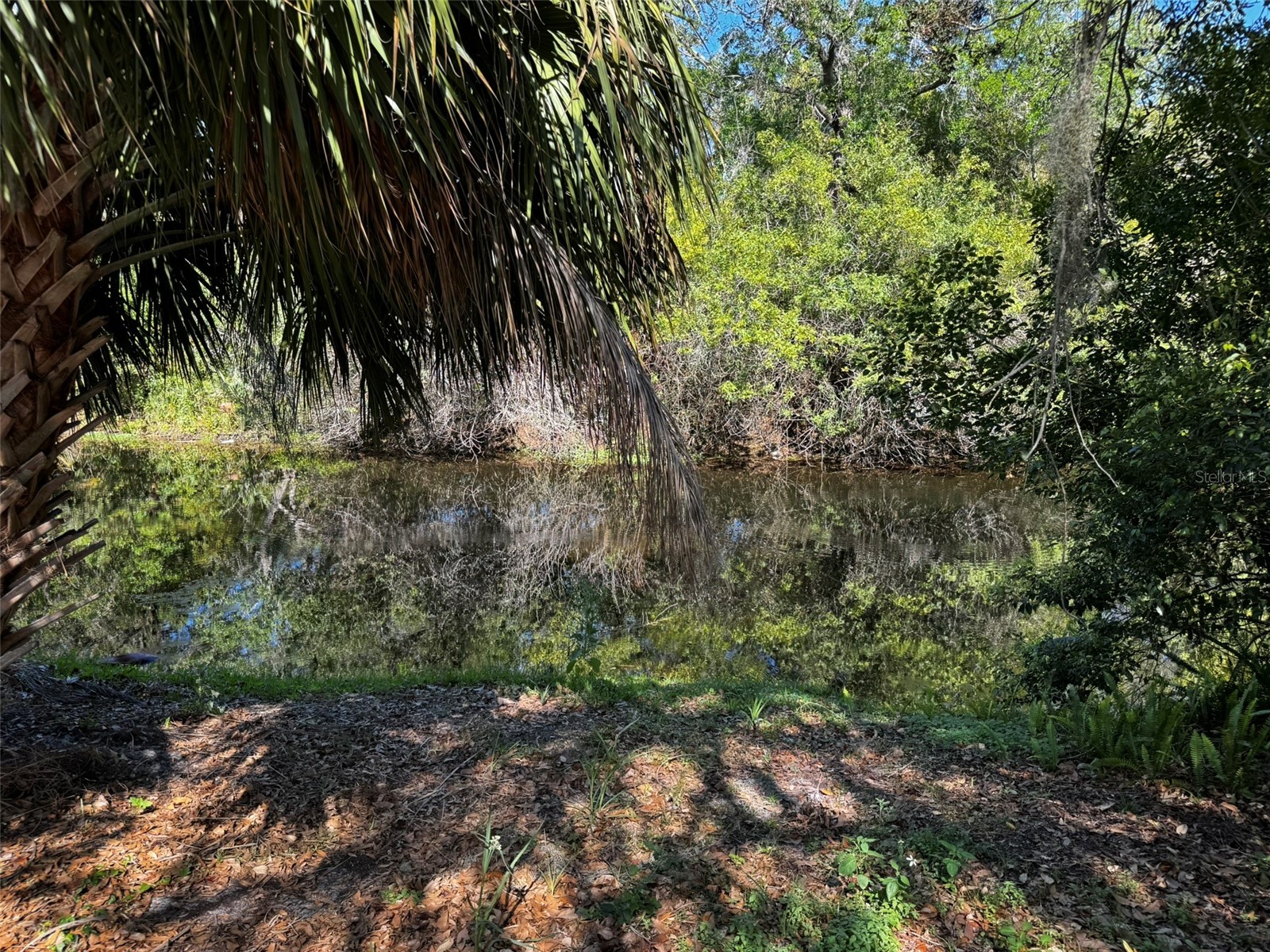 12302 Cobble Stone Drive Hudson FL 34667 - Bear Creek TB8495397 image34