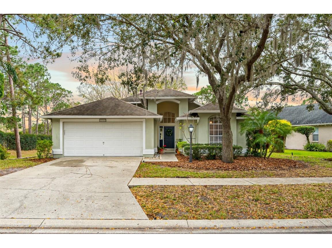 12302 Glenfield Avenue Tampa FL 33626 T3351462 image1