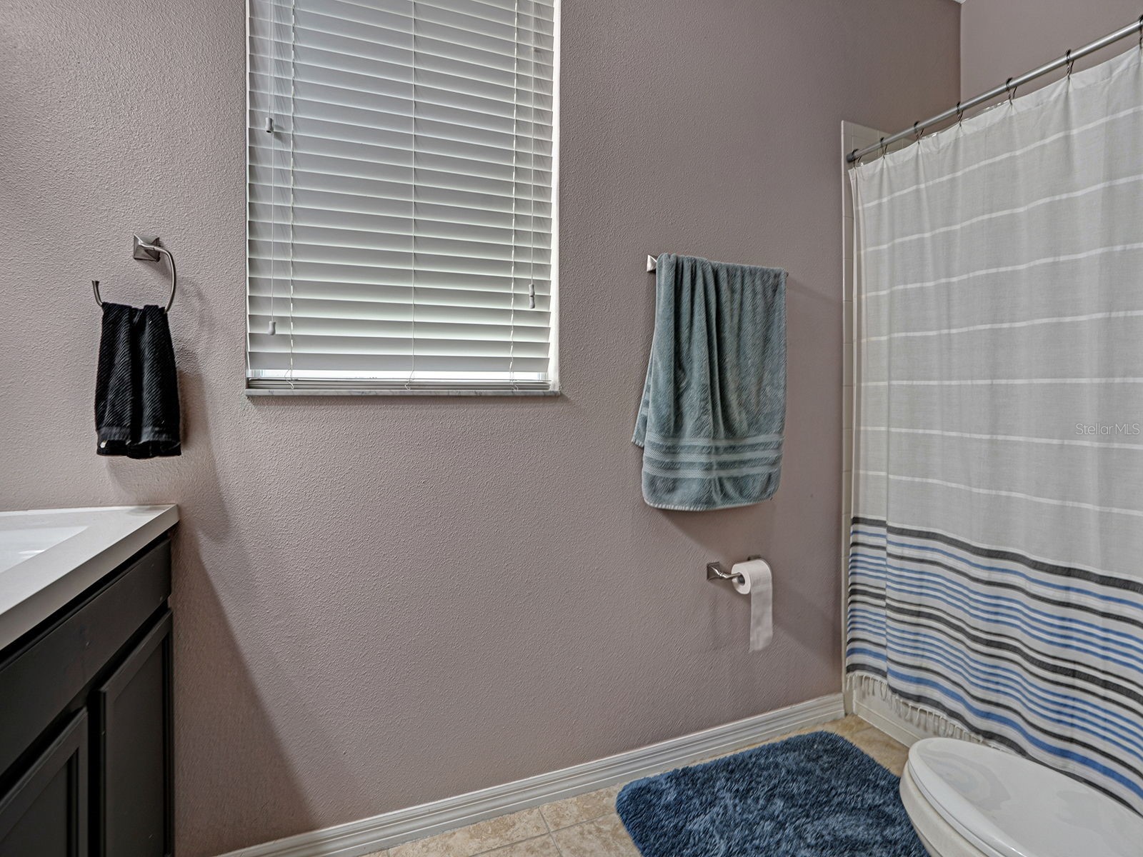 12302 Holmwood Greens Place Riverview FL 33579 TB8517008 image17