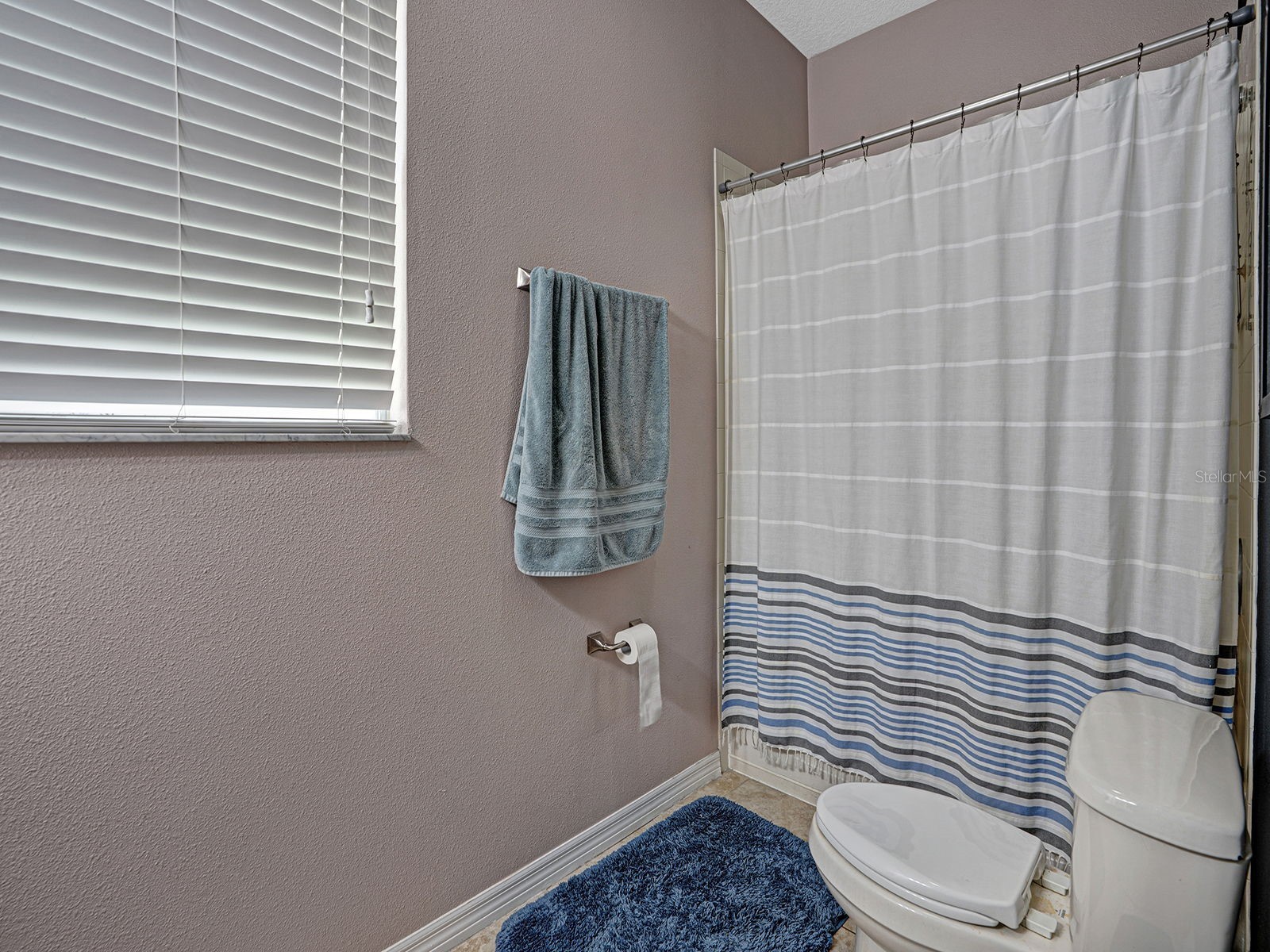 12302 Holmwood Greens Place Riverview FL 33579 TB8517008 image18