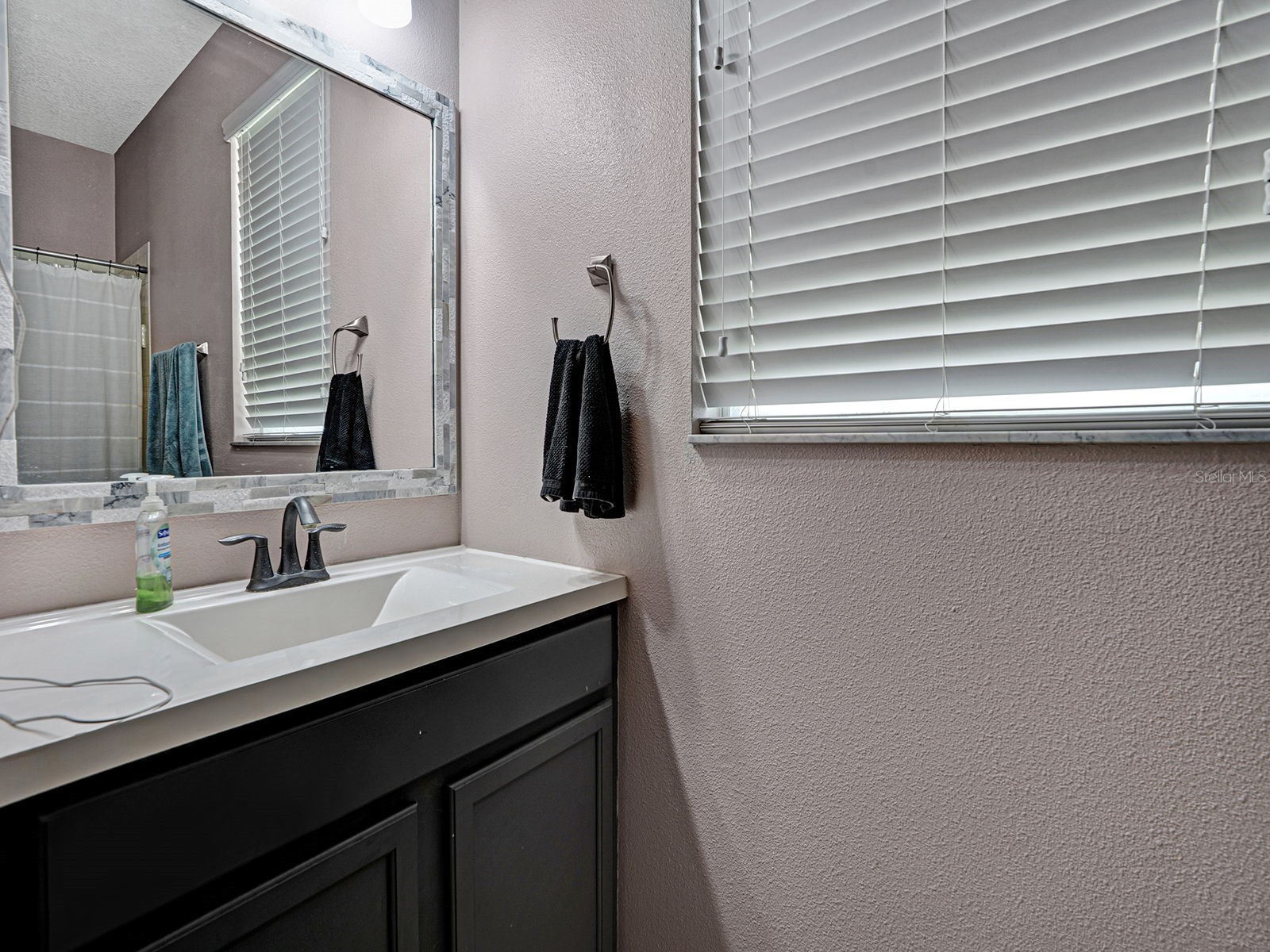 12302 Holmwood Greens Place Riverview FL 33579 TB8517008 image19