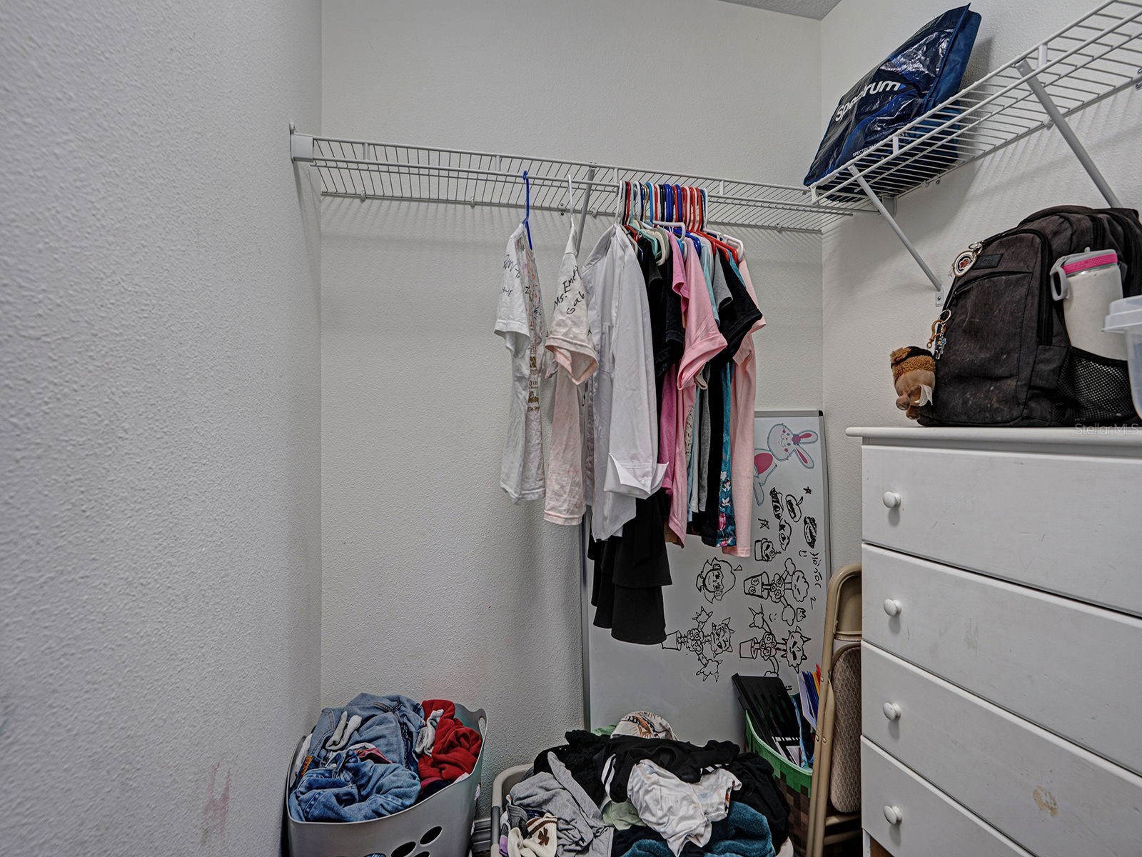 12302 Holmwood Greens Place Riverview FL 33579 TB8517008 image29