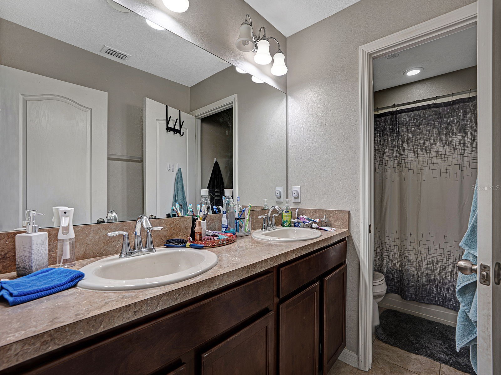 12302 Holmwood Greens Place Riverview FL 33579 TB8517008 image35