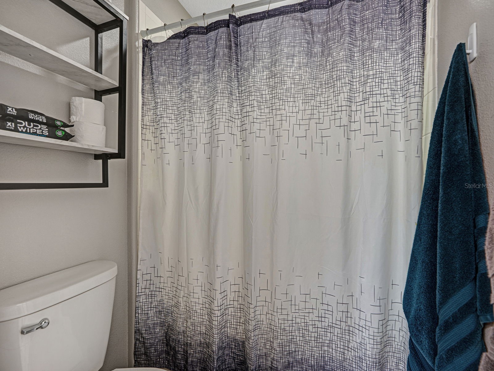 12302 Holmwood Greens Place Riverview FL 33579 TB8517008 image37