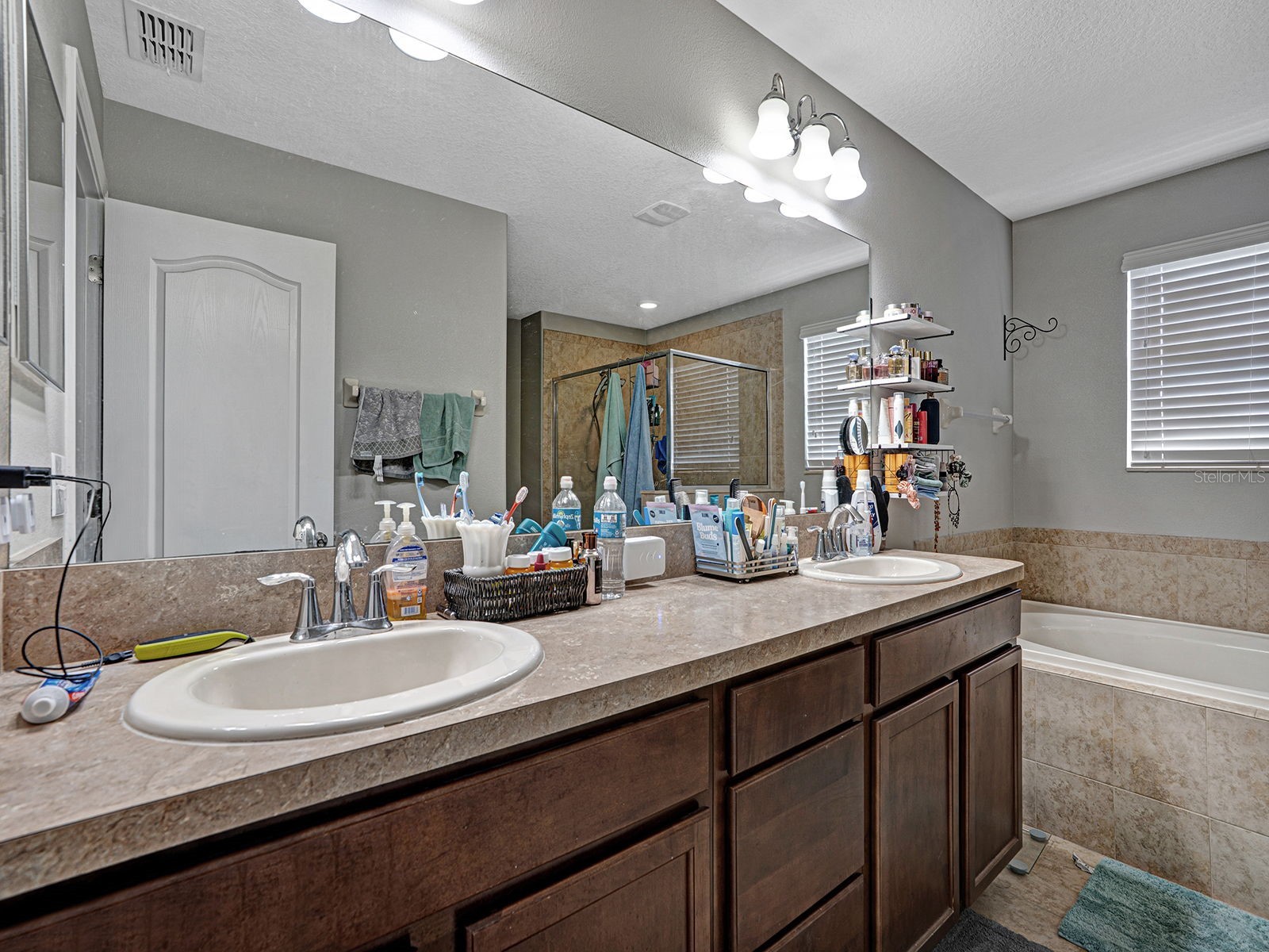 12302 Holmwood Greens Place Riverview FL 33579 TB8517008 image42