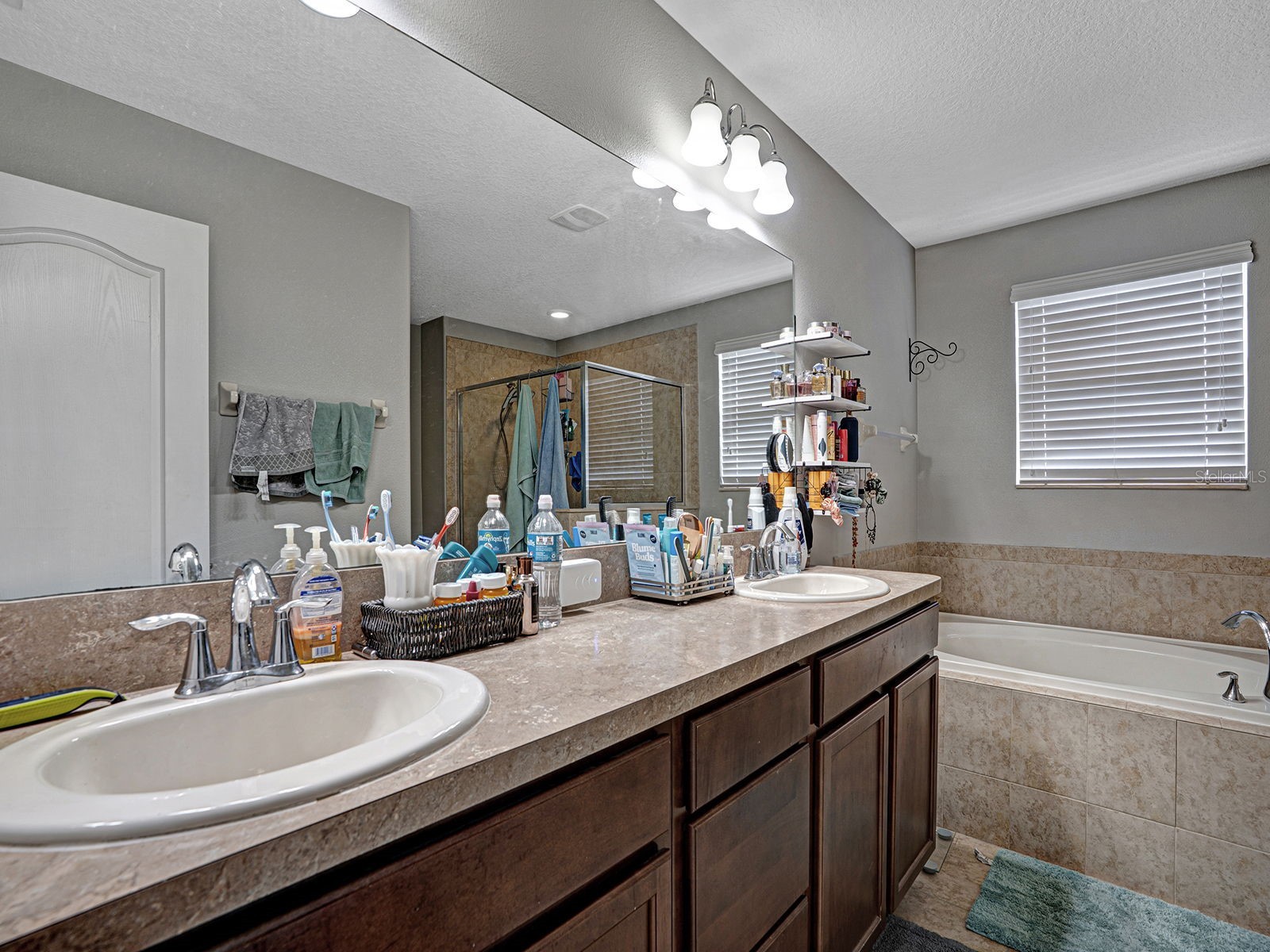 12302 Holmwood Greens Place Riverview FL 33579 TB8517008 image43