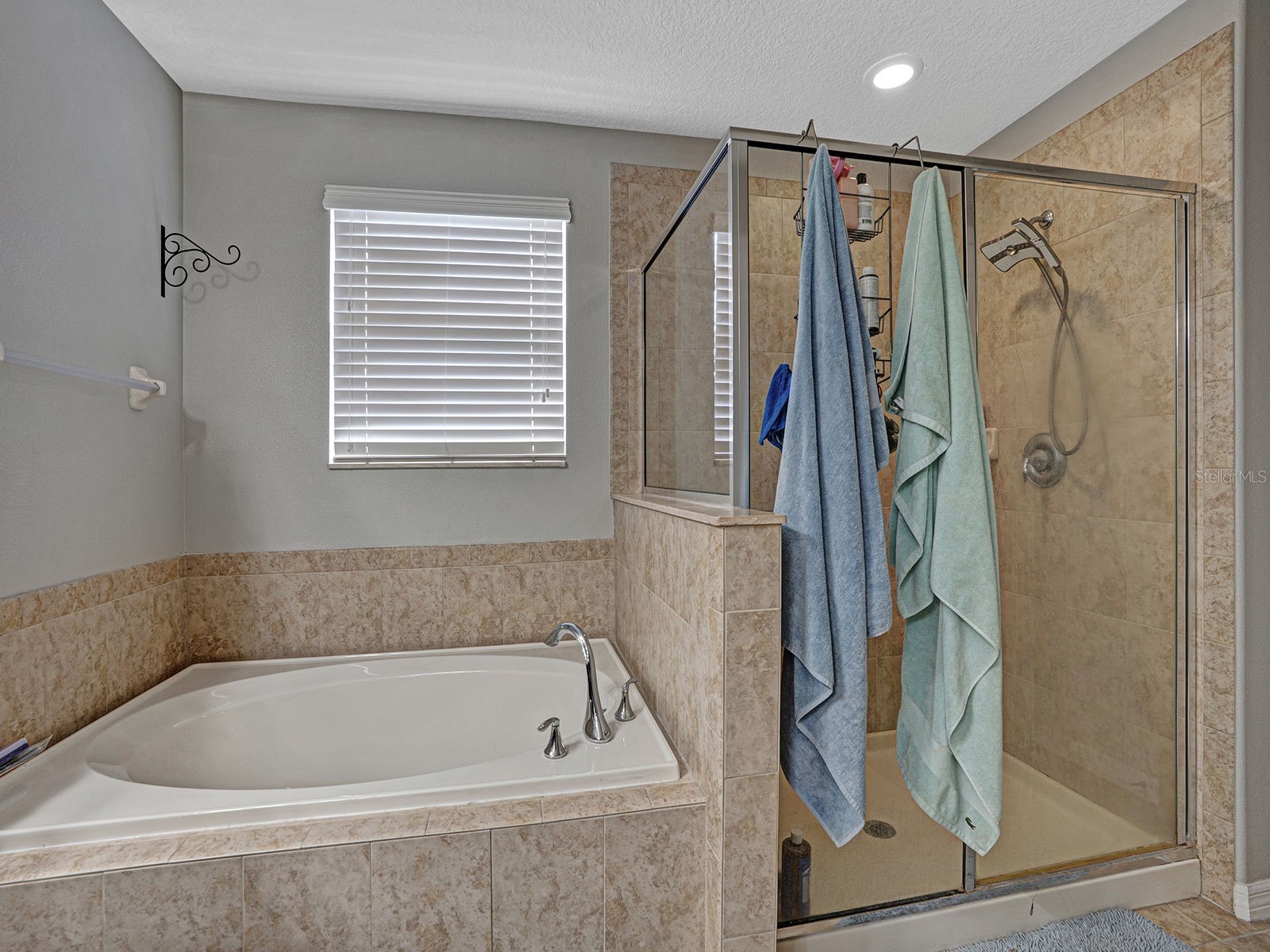 12302 Holmwood Greens Place Riverview FL 33579 TB8517008 image44