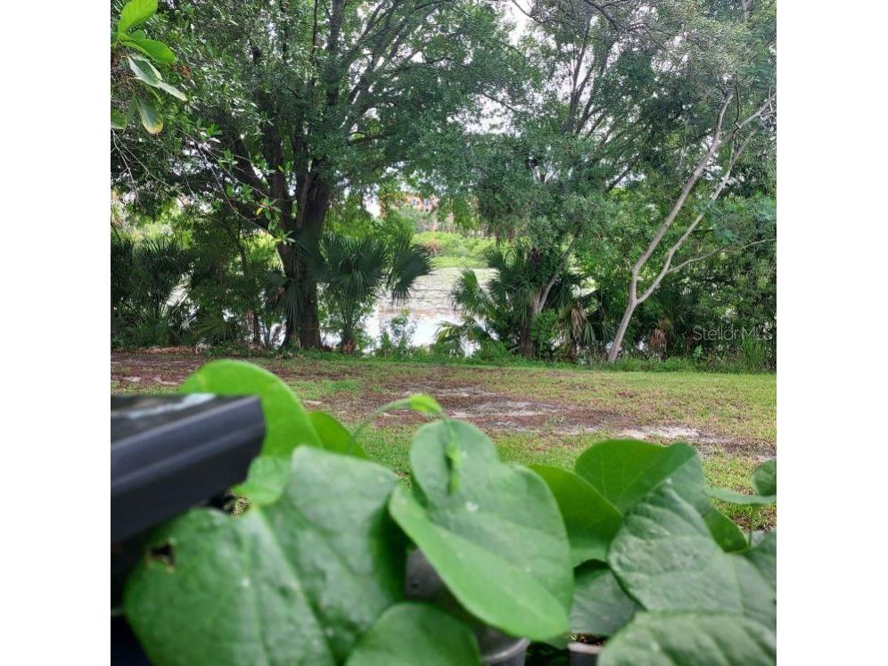 12302 N 27th Street Tampa FL 33612 TB8516938 image23