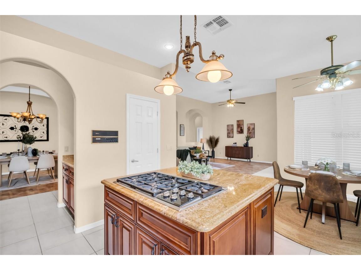 12302 Seabrook Drive Tampa FL 33626 TB8429947 image18