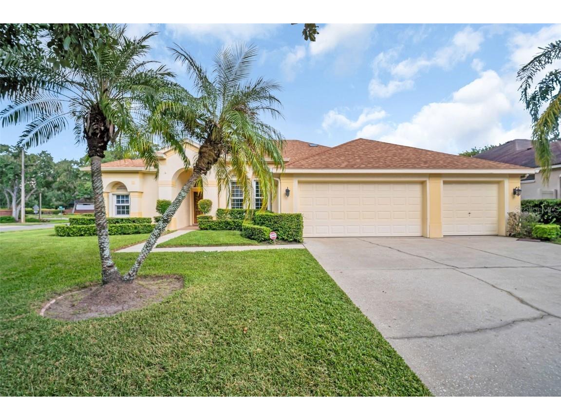 12302 Seabrook Drive Tampa FL 33626 TB8429947 image3