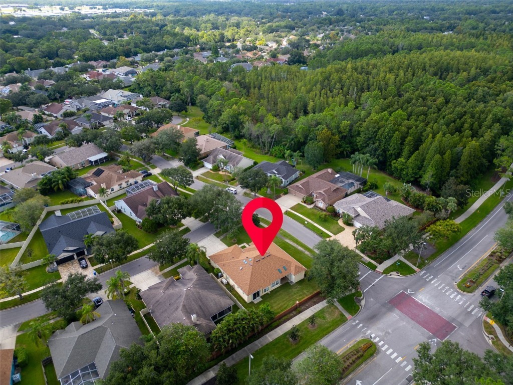 12302 Seabrook Drive Tampa FL 33626 TB8429947 image52