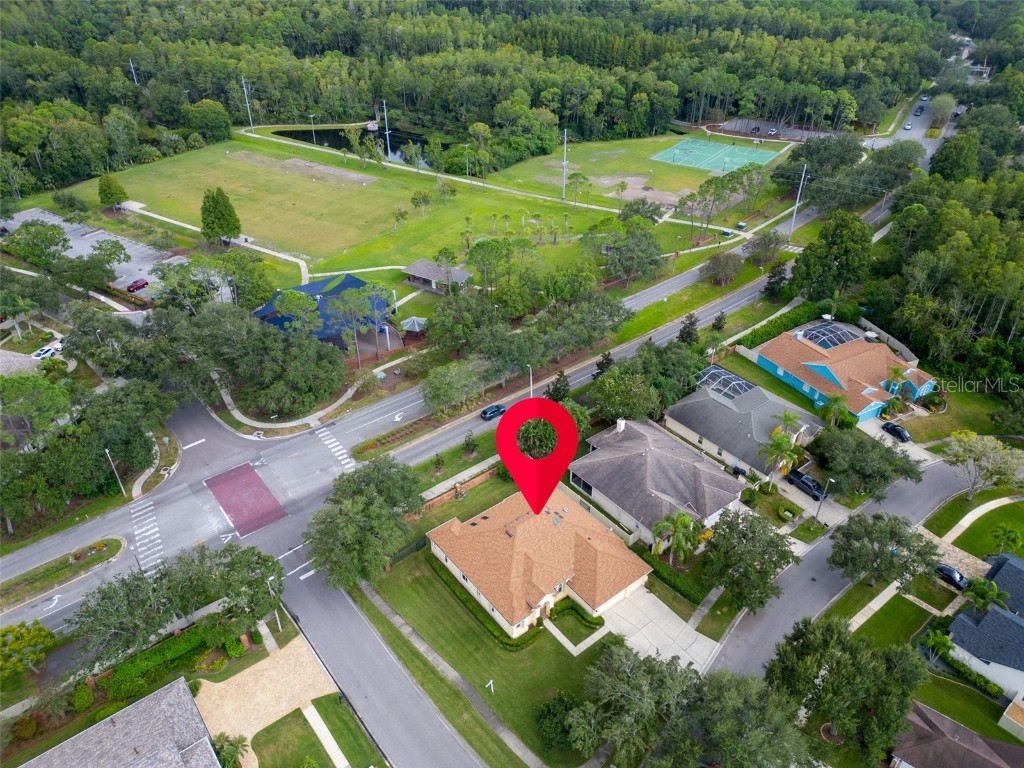 12302 Seabrook Drive Tampa FL 33626 TB8429947 image53