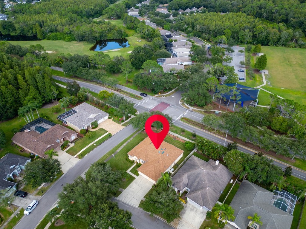 12302 Seabrook Drive Tampa FL 33626 TB8429947 image54