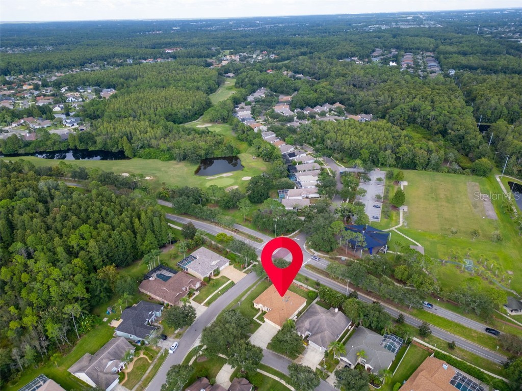 12302 Seabrook Drive Tampa FL 33626 TB8429947 image55