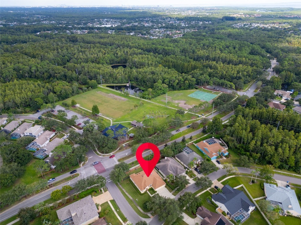 12302 Seabrook Drive Tampa FL 33626 TB8429947 image56