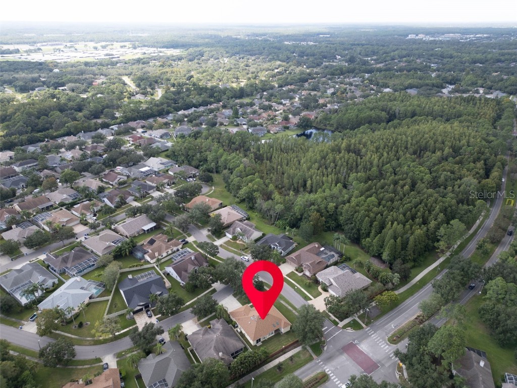 12302 Seabrook Drive Tampa FL 33626 TB8429947 image57