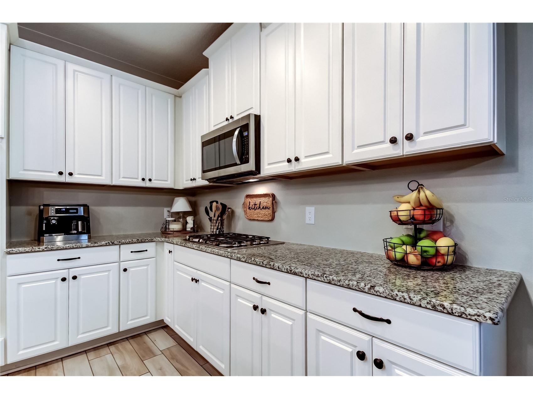 12303 Corkfield Lane Odessa FL 33556 TB8487286 image19