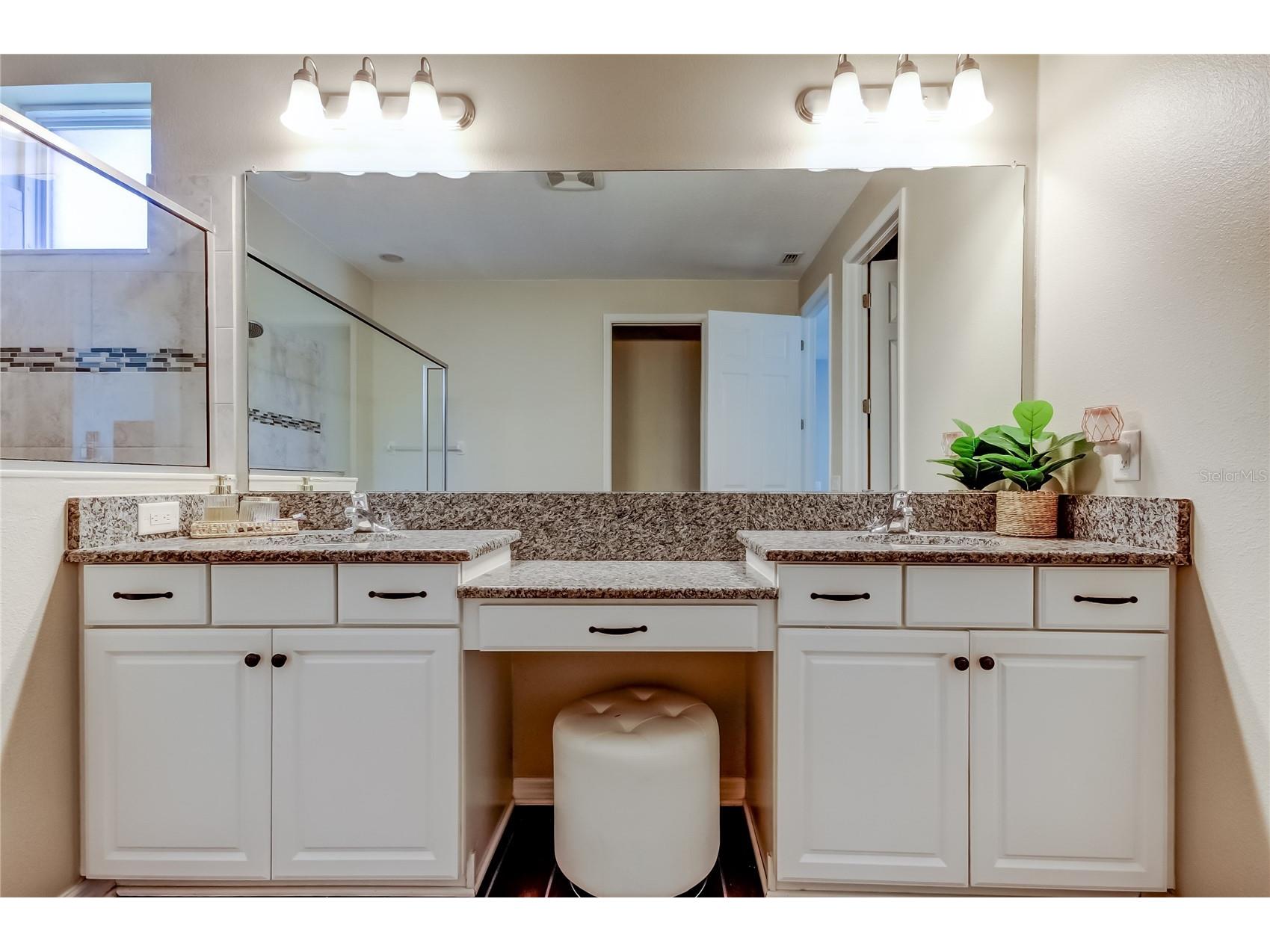 12303 Corkfield Lane Odessa FL 33556 TB8487286 image29