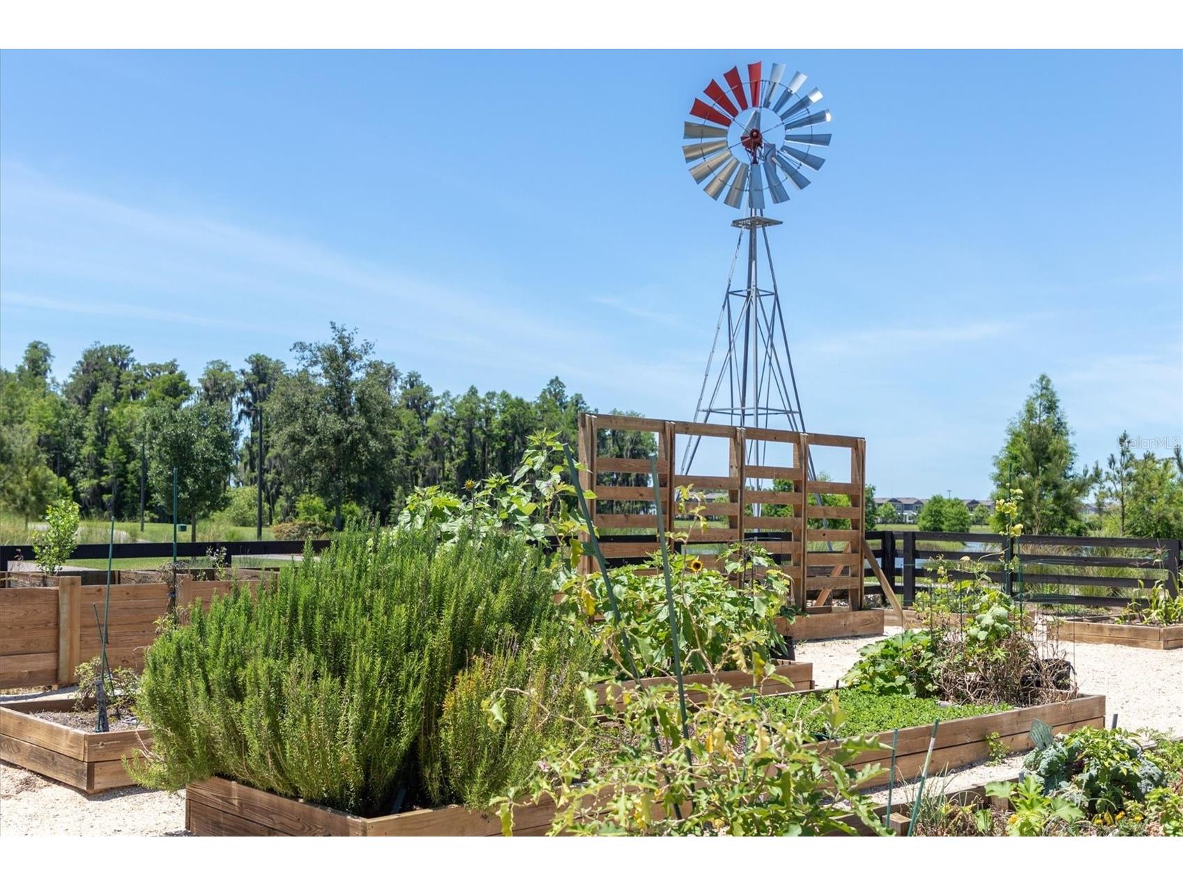 12303 Corkfield Lane Odessa FL 33556 TB8487286 image57