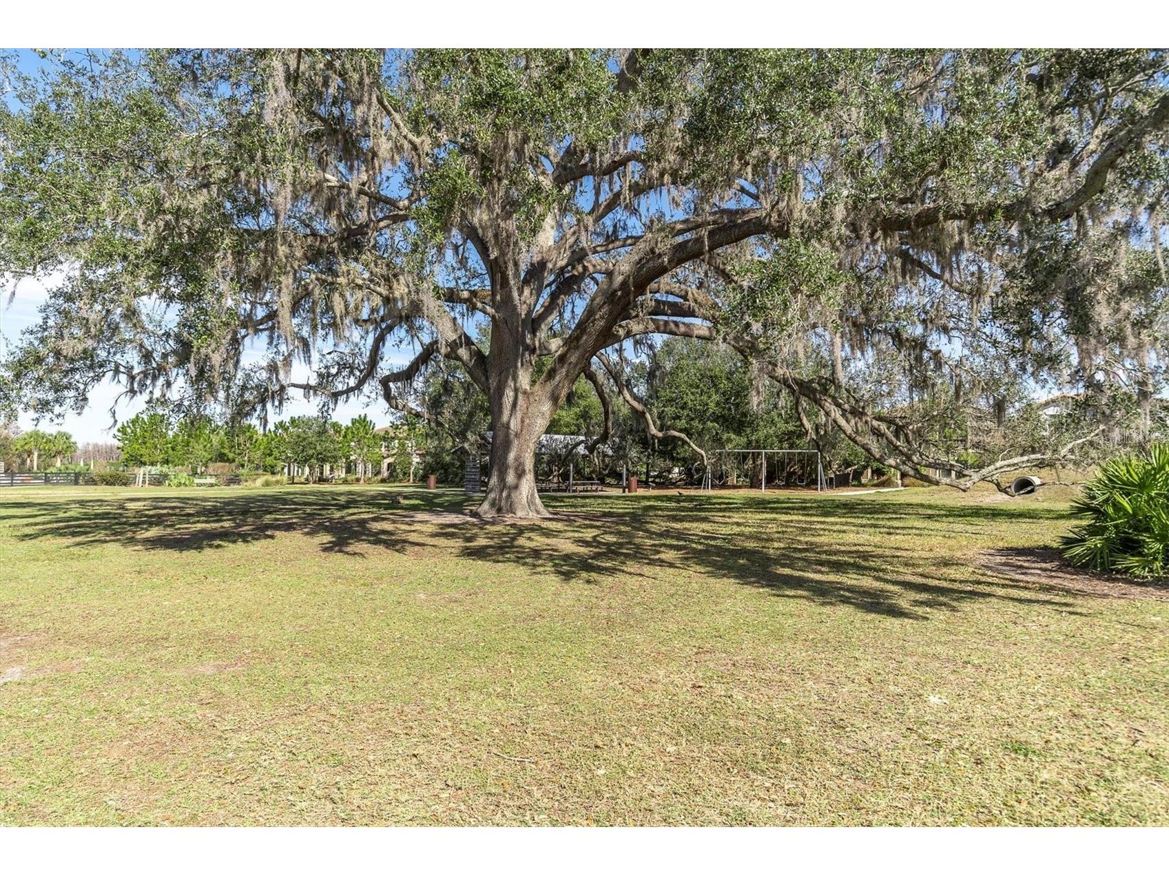 12303 Corkfield Lane Odessa FL 33556 TB8487286 image66