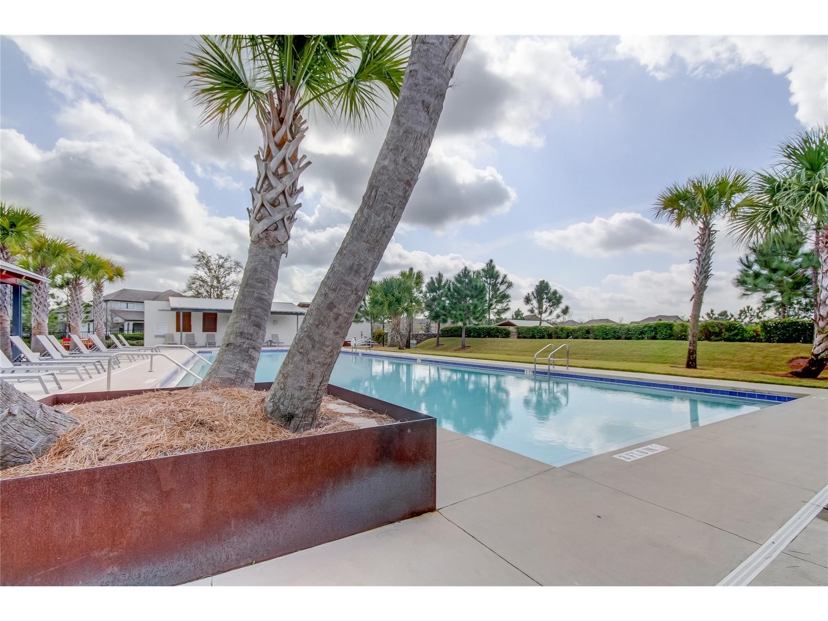 12303 Corkfield Lane Odessa FL 33556 TB8487286 image69